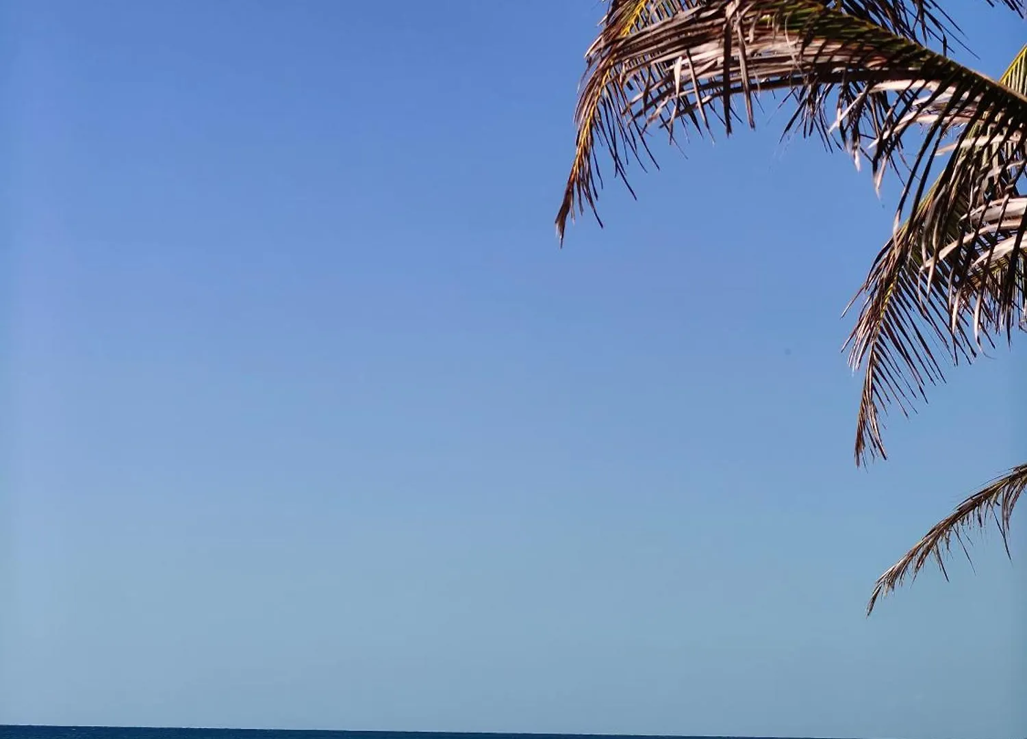 Azucar Hotel Τουλούμ