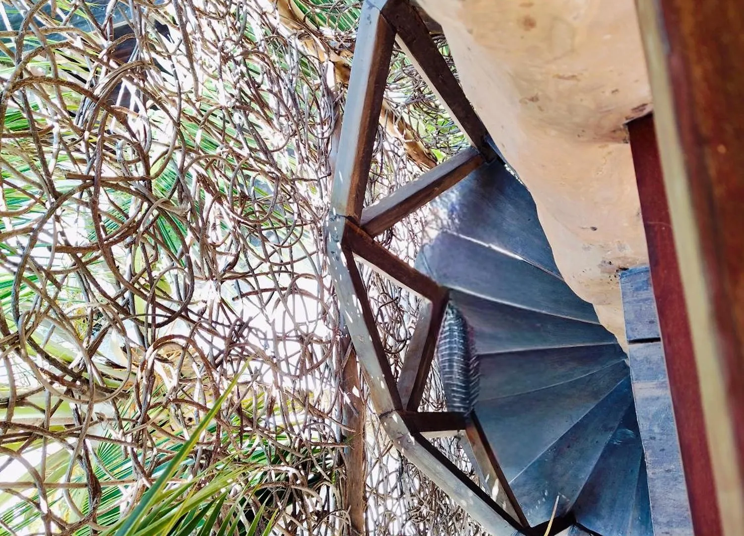 ***  Azucar Hotel Τουλούμ Μεξικό