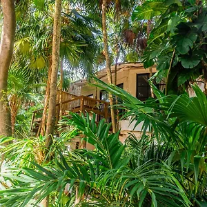 3* Отель Casa Ambar & Boutique (adults Only)