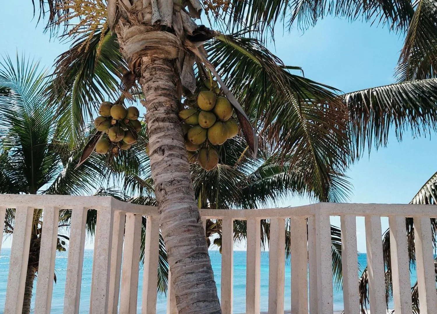 Azucar Hotel Tulum