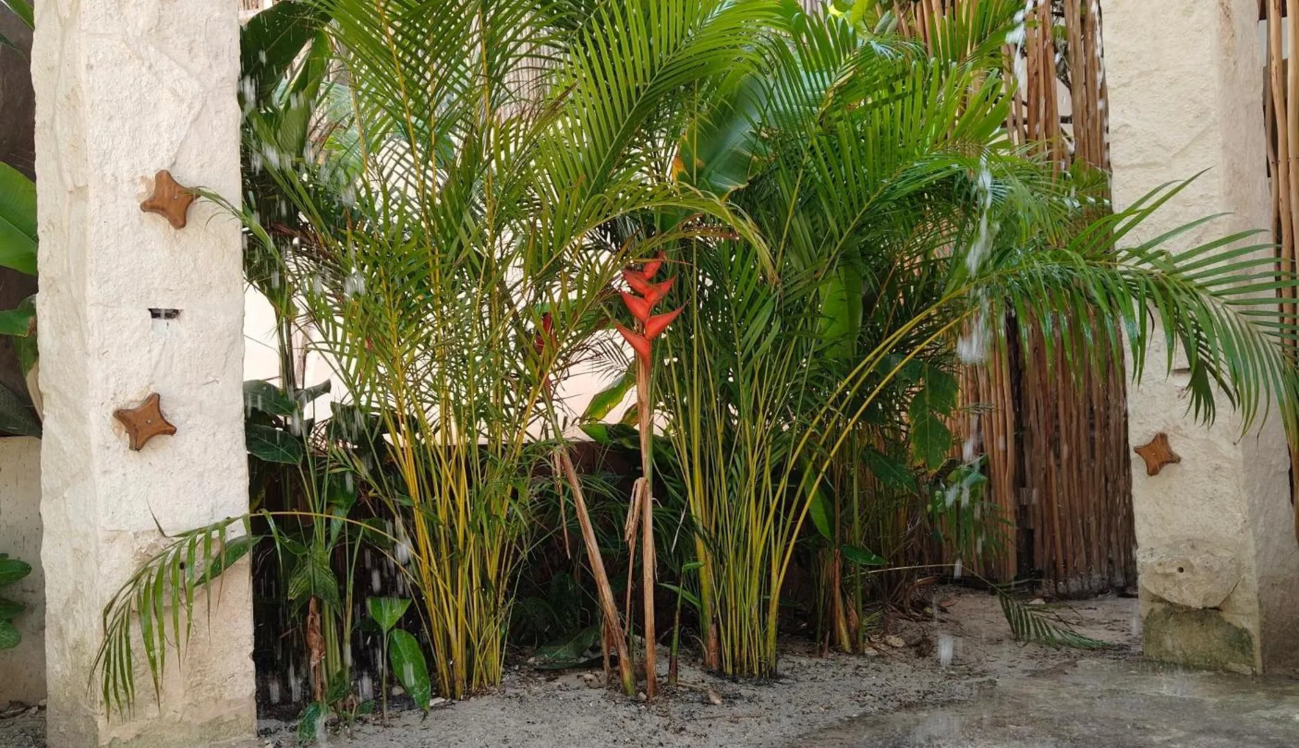 Azucar Hotel Tulum 3*,  México